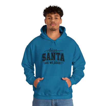 Dear SANTA Are We Good Unisex Comfort Hoodie.