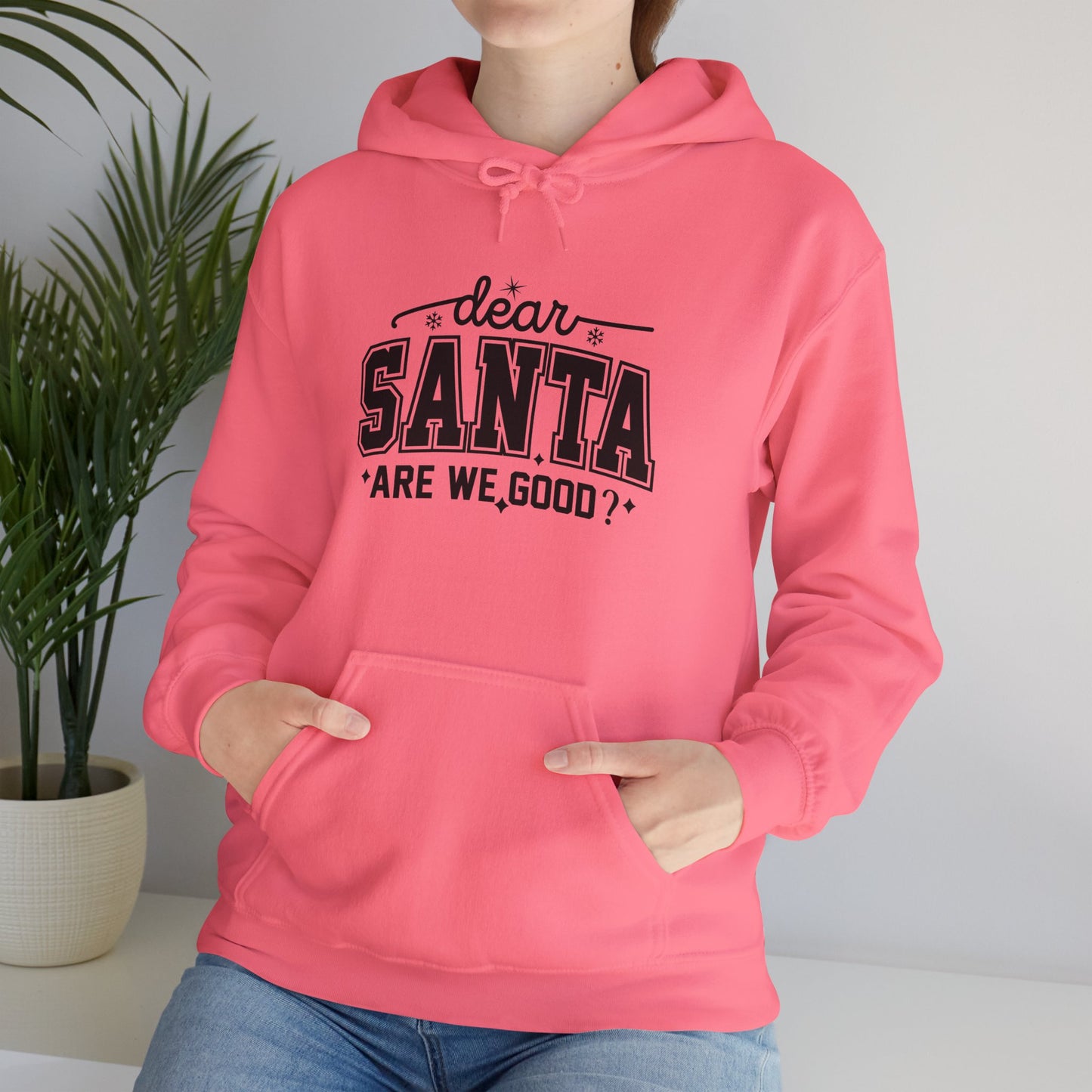 Dear SANTA Are We Good Unisex Comfort Hoodie.