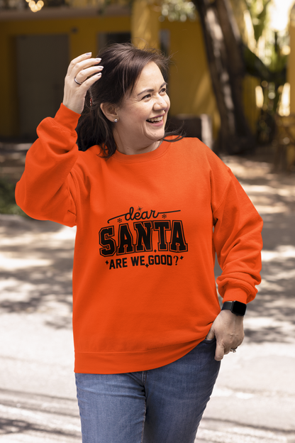 Dear SANTA Are We Good Unisex Comfort Hoodie.