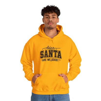 Dear SANTA Are We Good Unisex Comfort Hoodie.